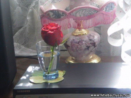 Роза в стакане